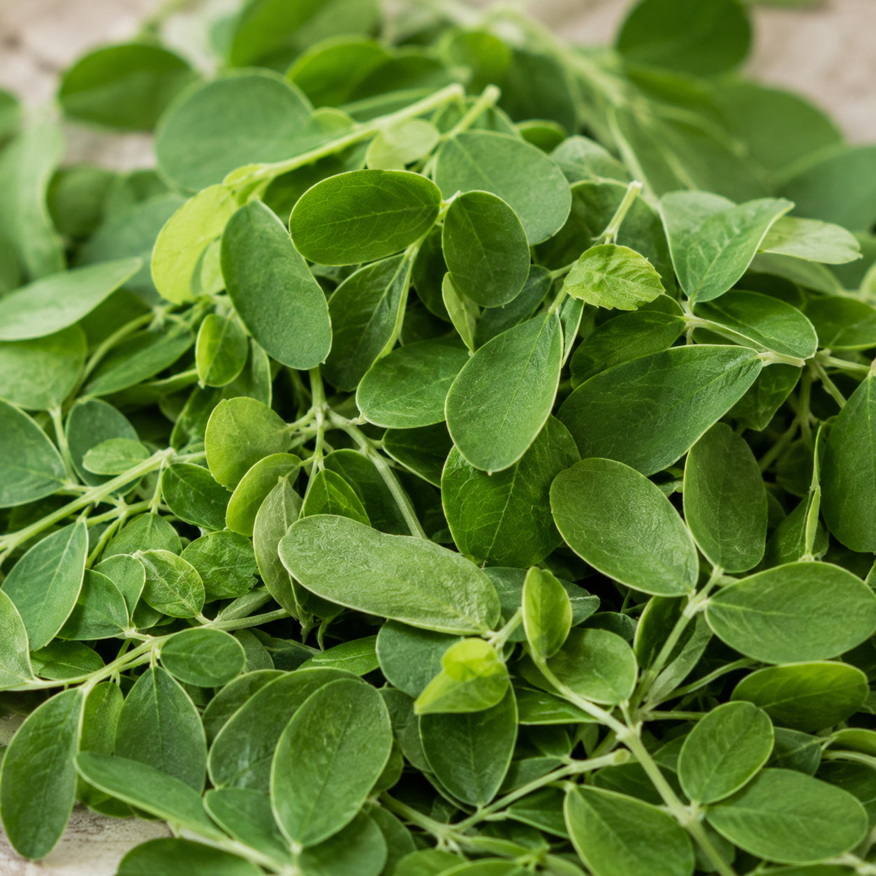 Moringa Blätter Bio geschnitten-zutaten