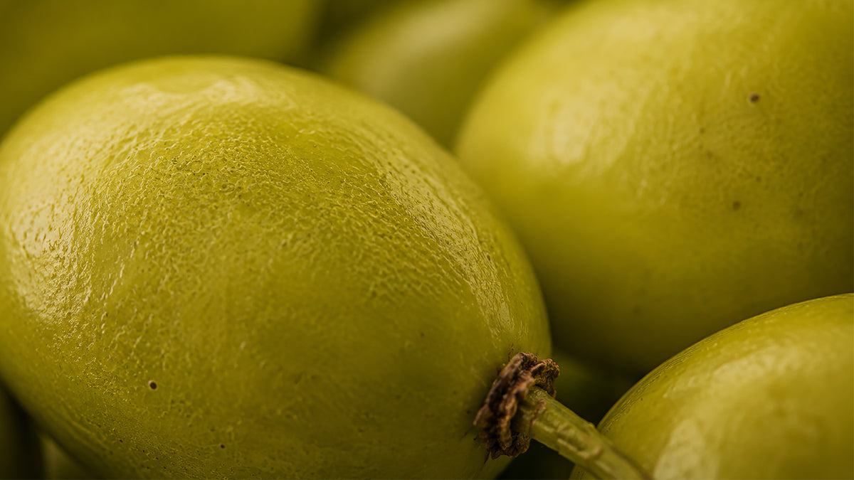 Neem Öl Bio-zutat1_rechts