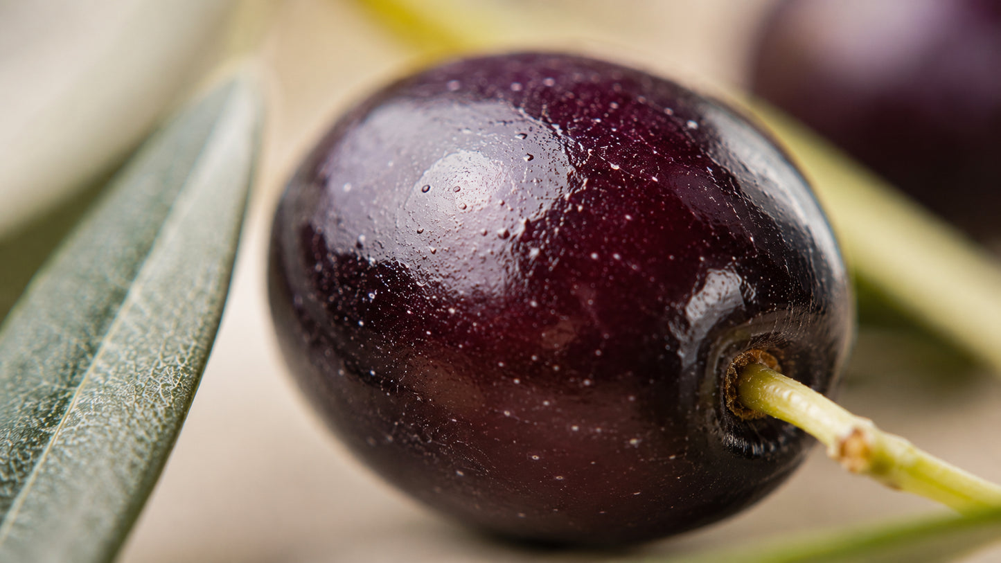 Olive Glycerinmazerat-zutat1_rechts