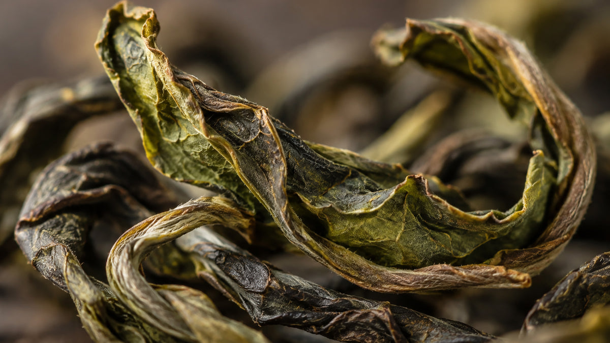 Oolong Gaba Premium Tee-zutat2_links