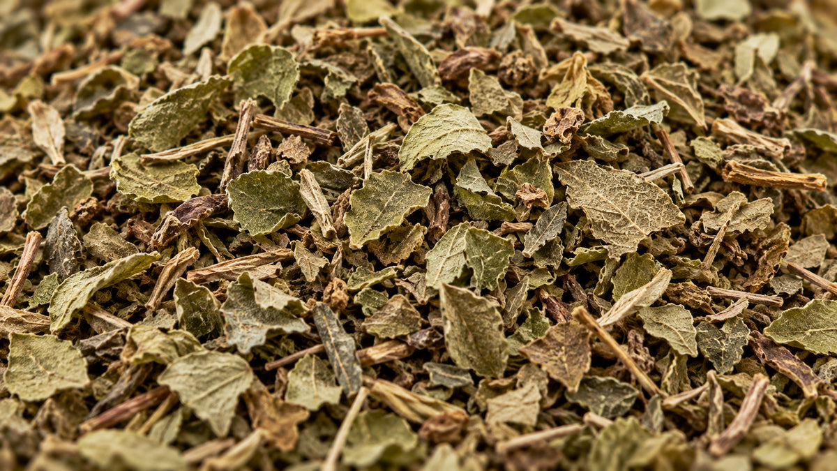 Oregano Wildwuchs-form_top