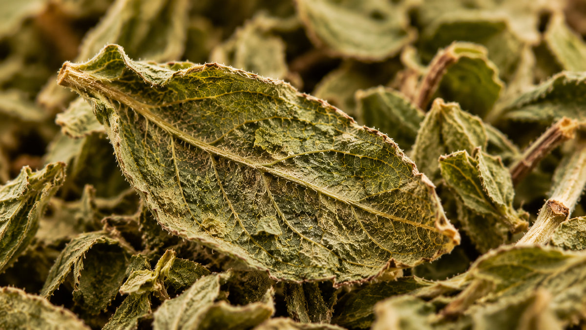 Oregano Wildwuchs-zutat2_links