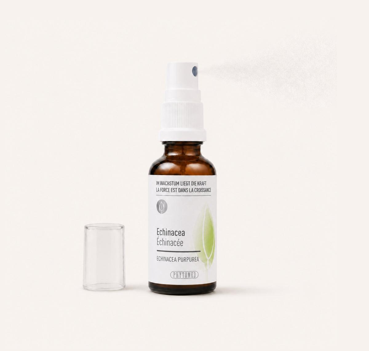 Phytomed Echinacea Glycerinmazerat-einnahme