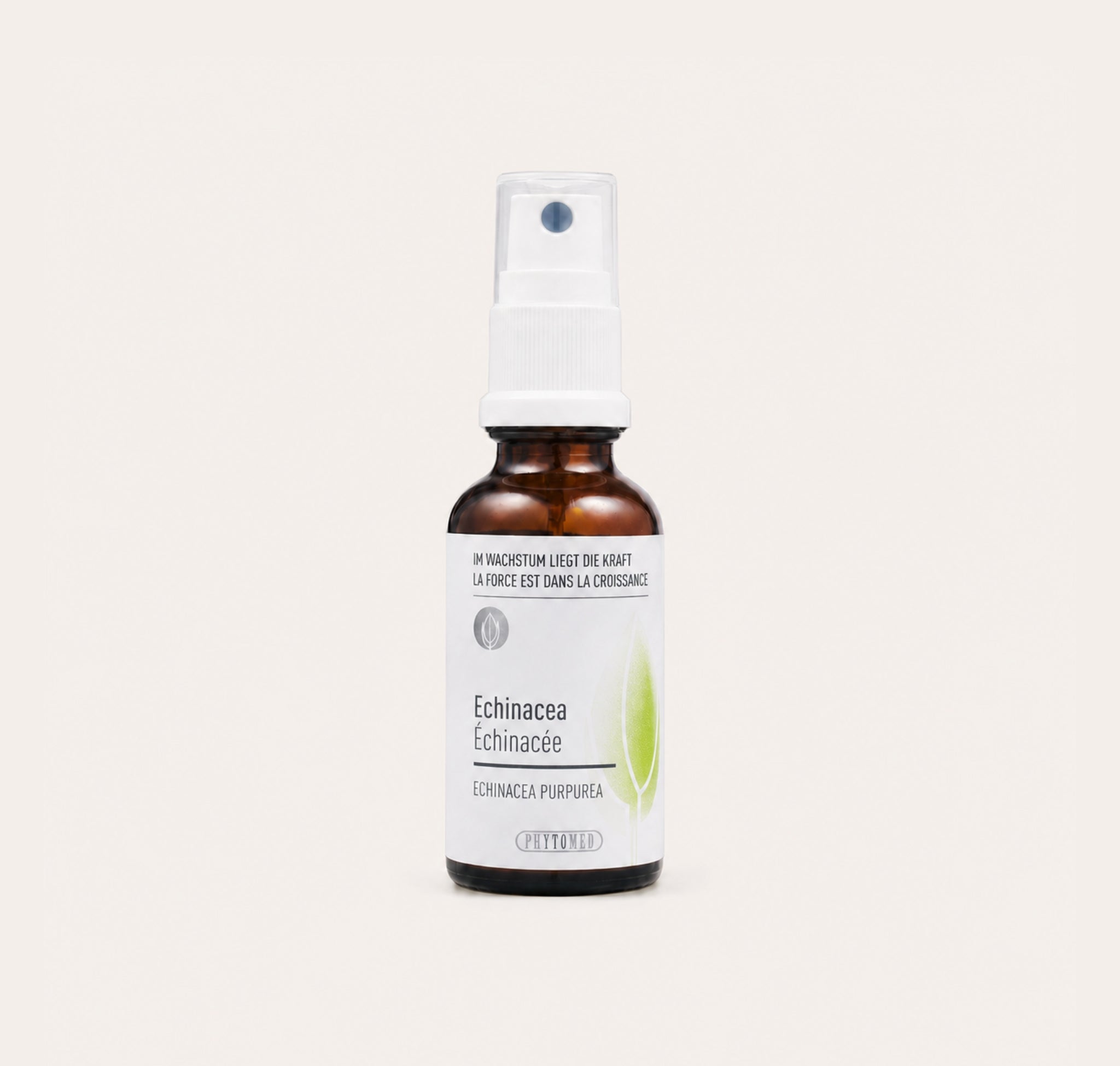 Phytomed Echinacea Glycerinmazerat-verpackung