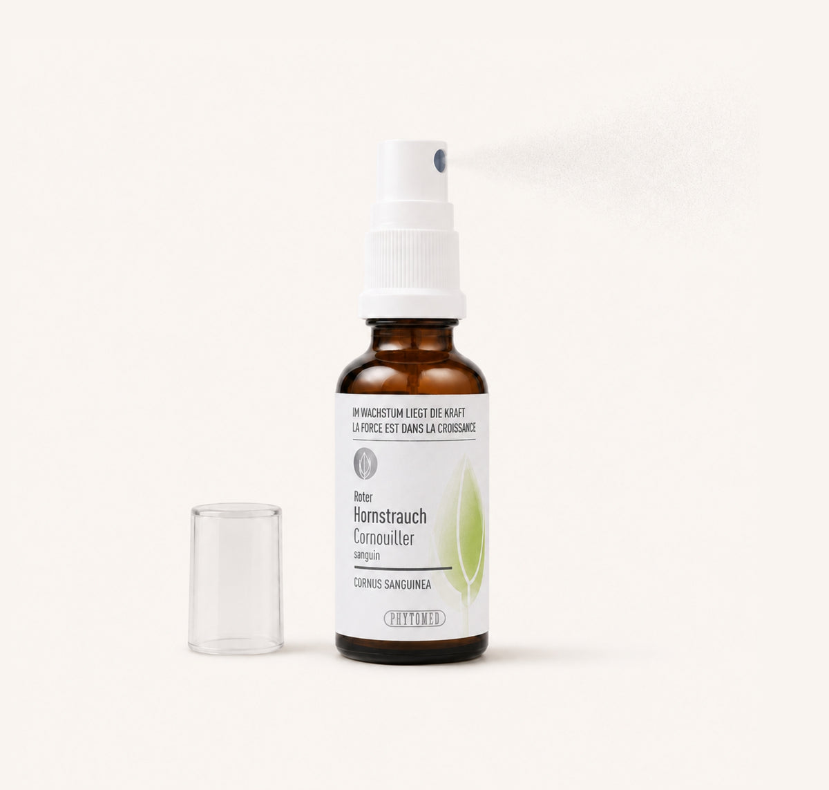Phytomed Hornstrauch Glycerinmazerat-einnahme
