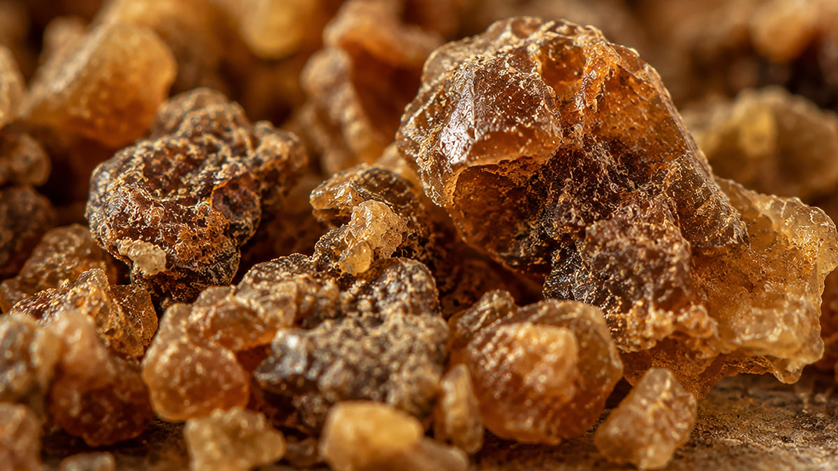 Propolis Elixier_zutat1_rechts