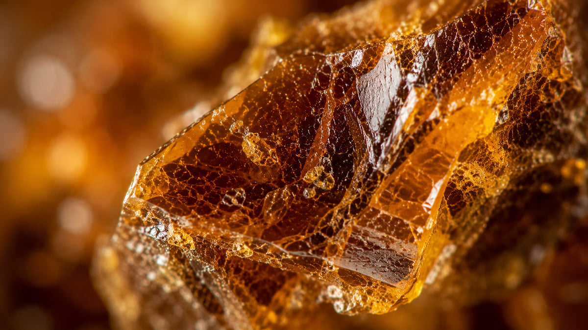 Propolis Gelée Royal Kapseln-zutat1_rechts