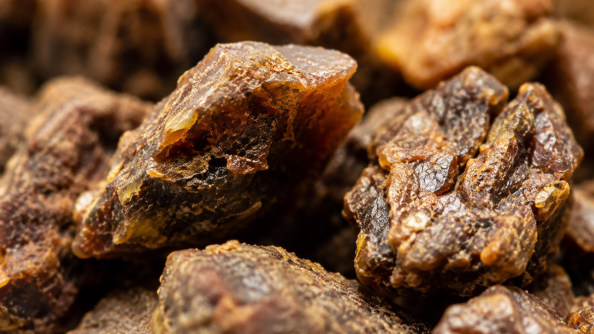 Propolis Rein Salbe-zutat1_rechts