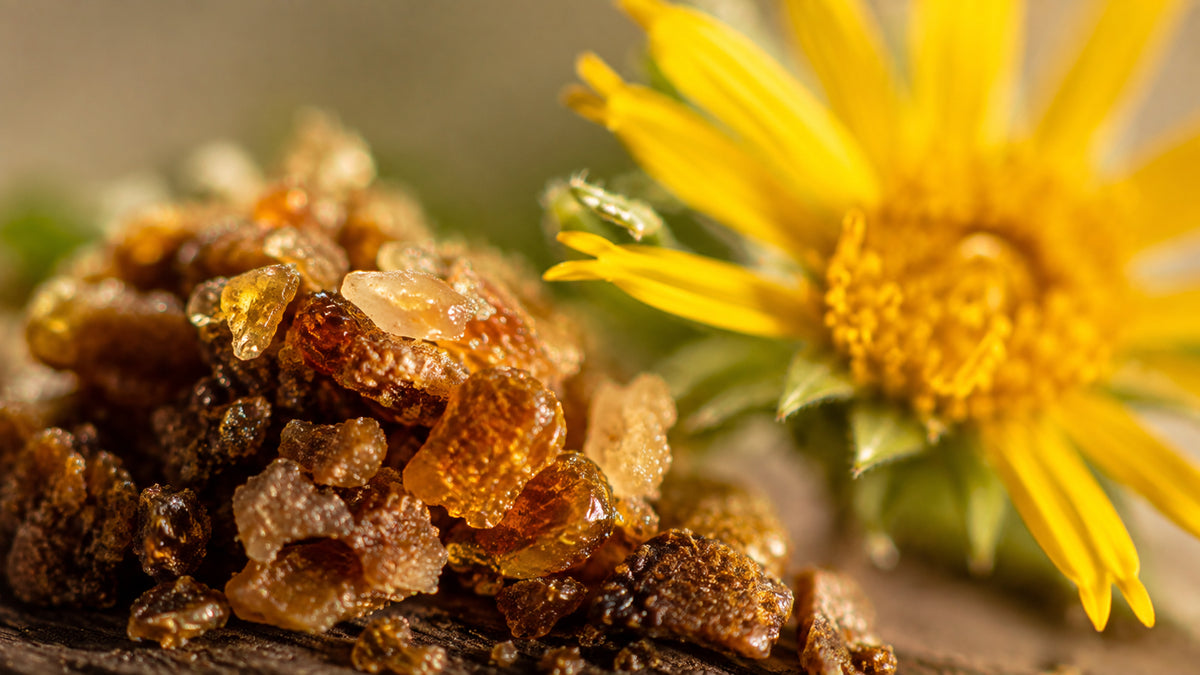 Propolis Rein Salbe-zutat2_links