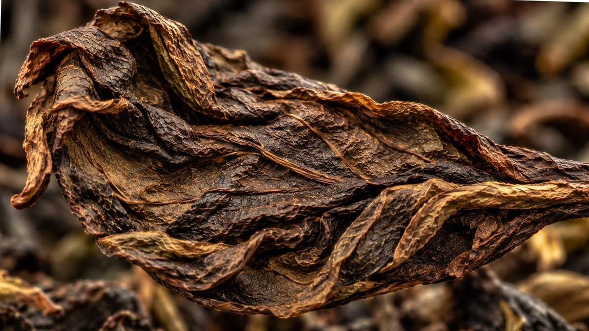 Pu-Erh Tee Bio-zutat1_rechts