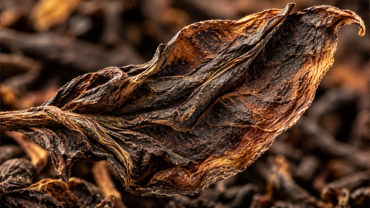 Pu-Erh Tee Hong Tai Chang (reif)-zutat1_rechts