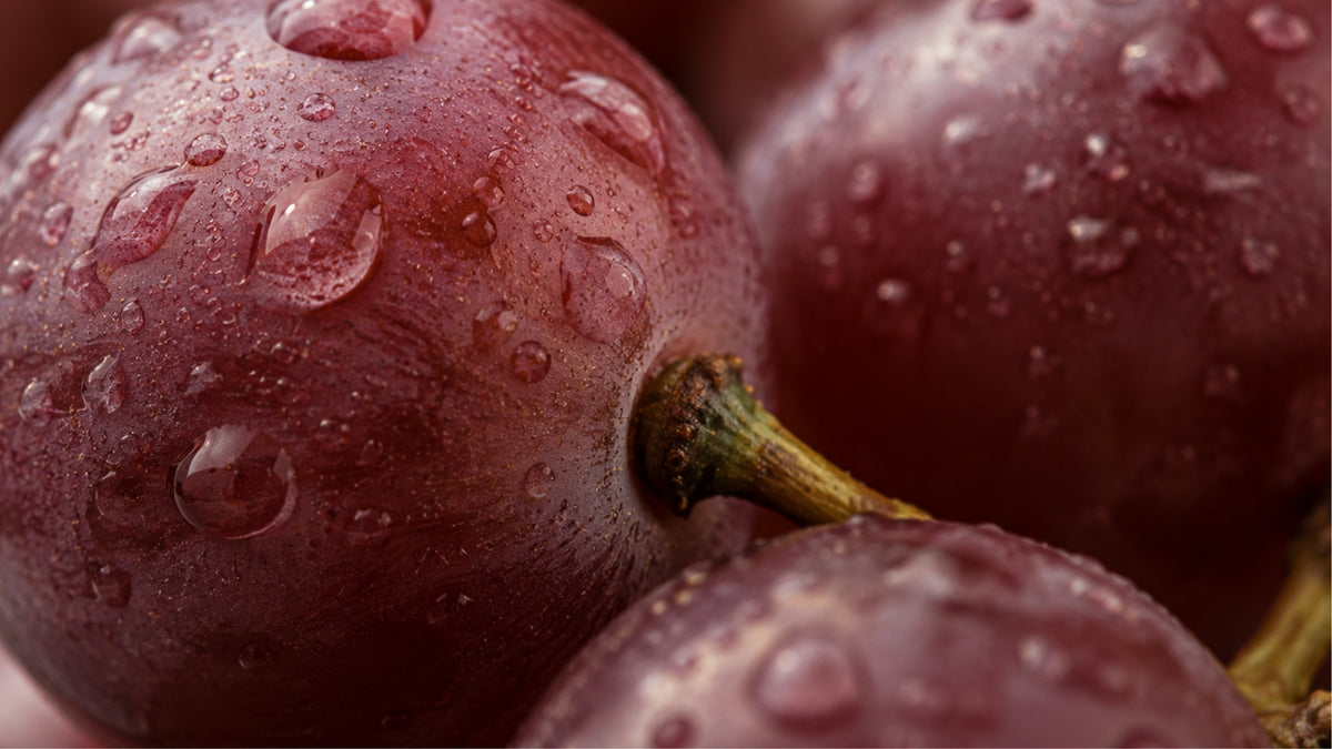 Resveratrol Plus Kapseln-zutat1_rechts