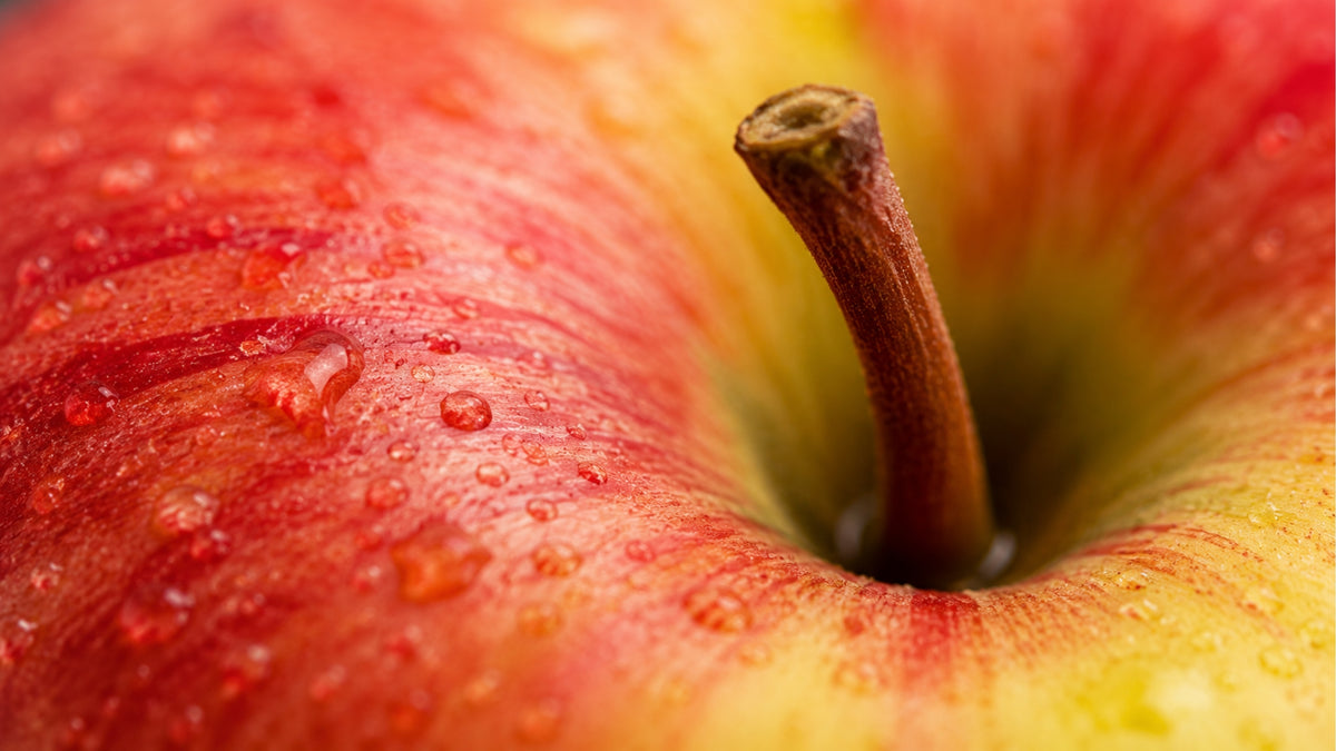 Resveratrol Plus Kapseln-zutat2_links
