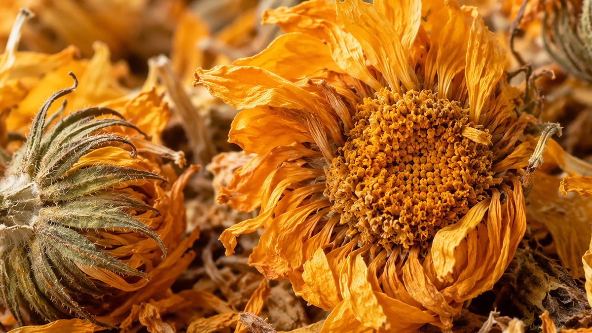 Ringelblumen Tee Bio-zutat2_links