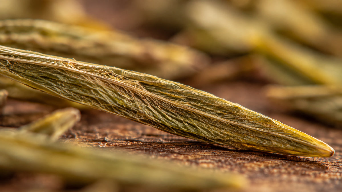 Rooibos grün Tee Bio-zutat1_rechts