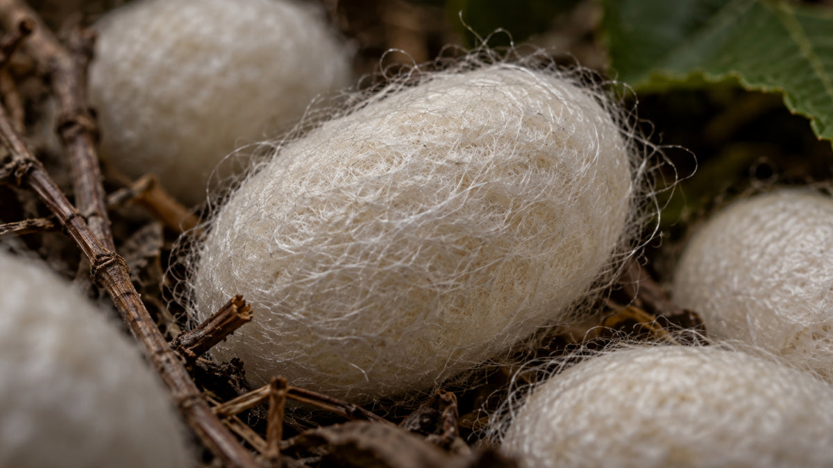 Seidenprotein-zutat2_links