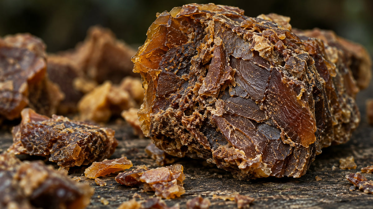 Shampoo Propolis Teebaum-zutat1_rechts