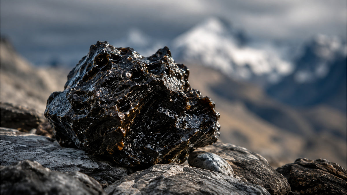 Shilajit Kapseln-zutat2_links