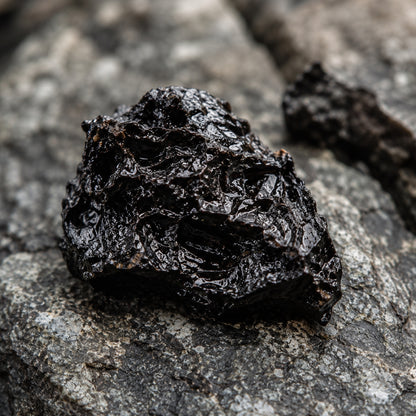 Shilajit Kapseln-zutaten