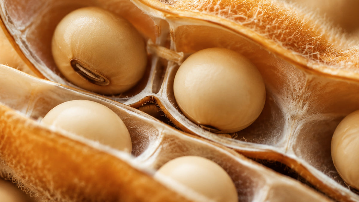 Sojalecithin Pulver-zutat2_links