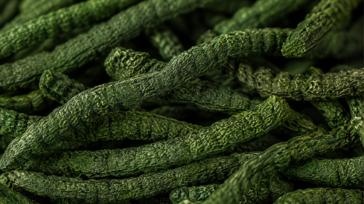 Spirulina Kapseln-zutat1_rechts
