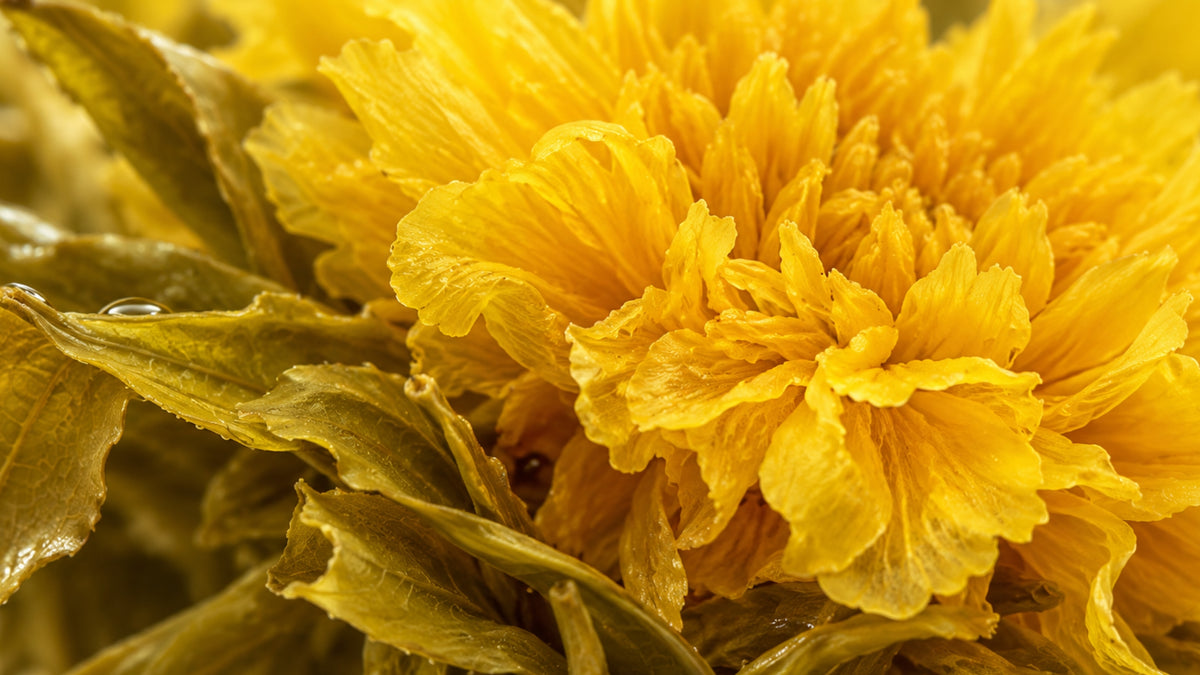 Tea since 1836 Teeblume Marigold-zutat2_links