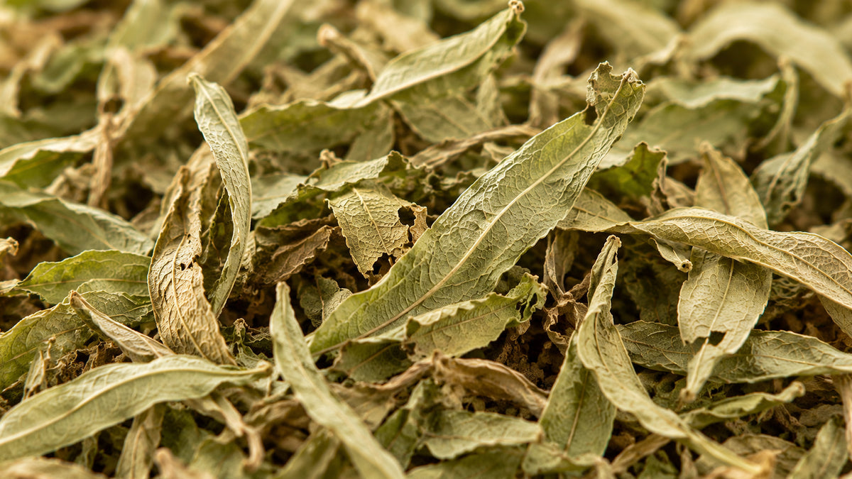 Verveine Blatt ganz Tee Bio-form_top