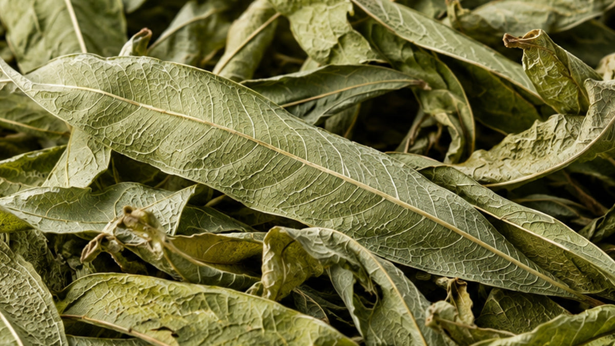 Verveine Blatt ganz Tee Bio-zutat2_links