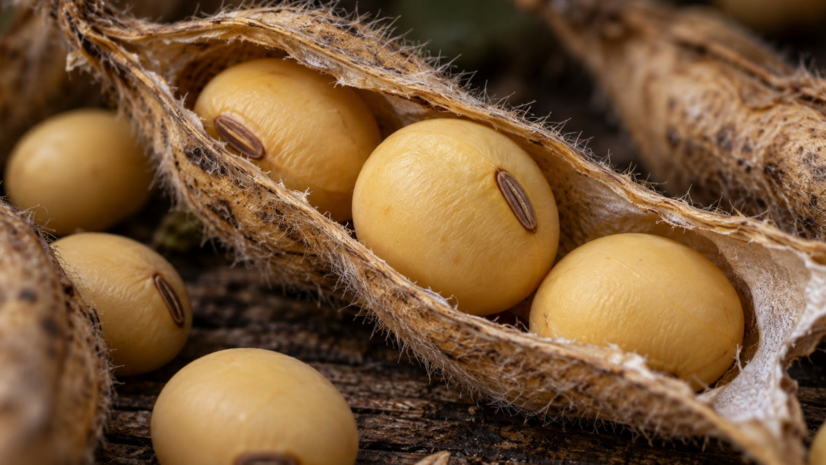 Vitamin E Öl Bio-zutat2_links