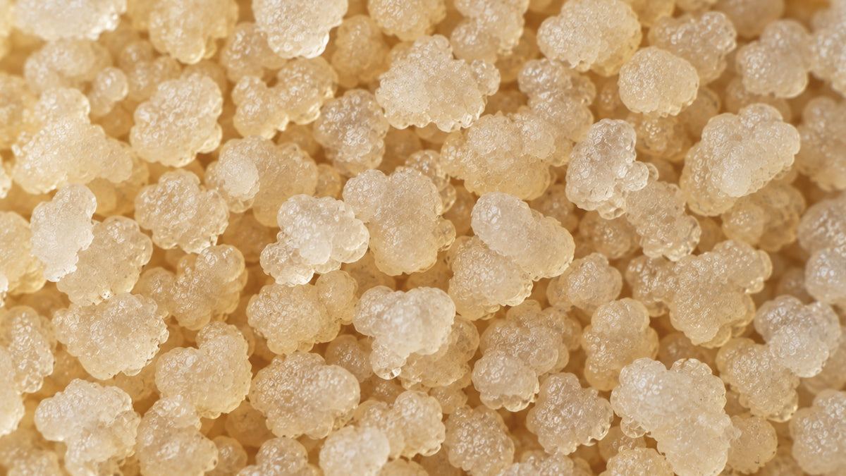 Wasserkefir-form_top