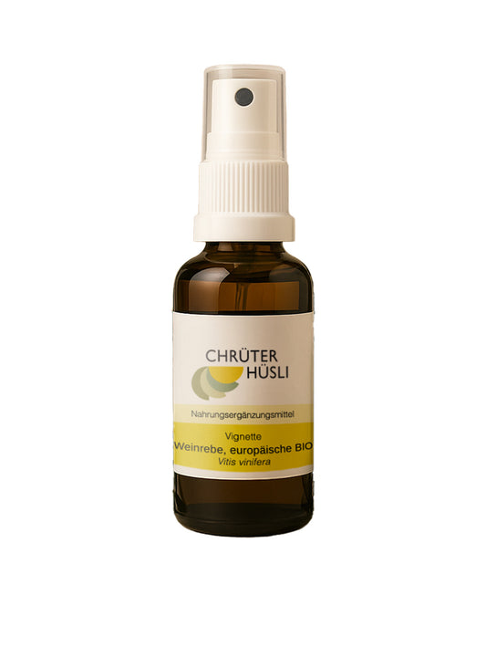 Glycerinmazerat europäische Weinrebe Bio 30 ml