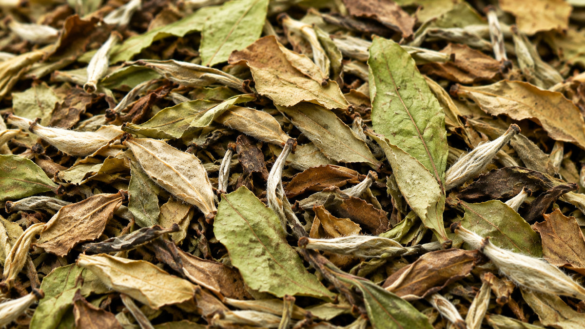 Weisser Tee Yunnan Bio-form_top