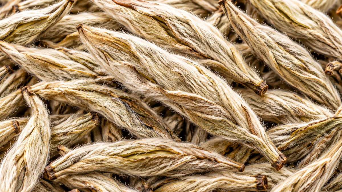 Weisser Tee Yunnan Silver Bud-zutat2_links