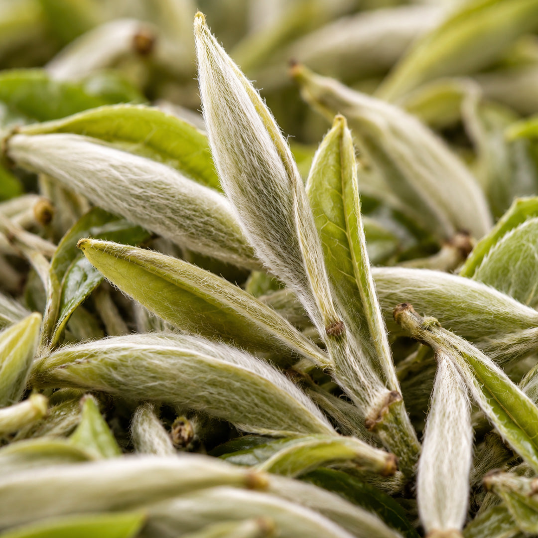 Weisser Tee Yunnan Silver Bud-zutaten