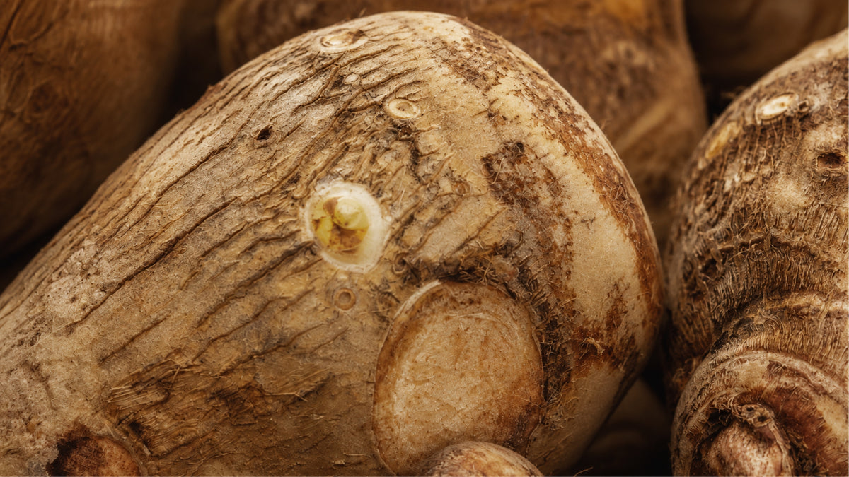 Wild Yam Kapseln-zutat2_links