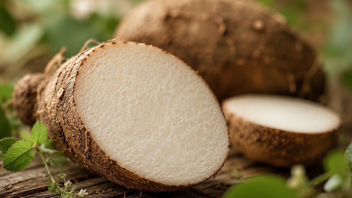 Yams Salbe-zutat1_rechts