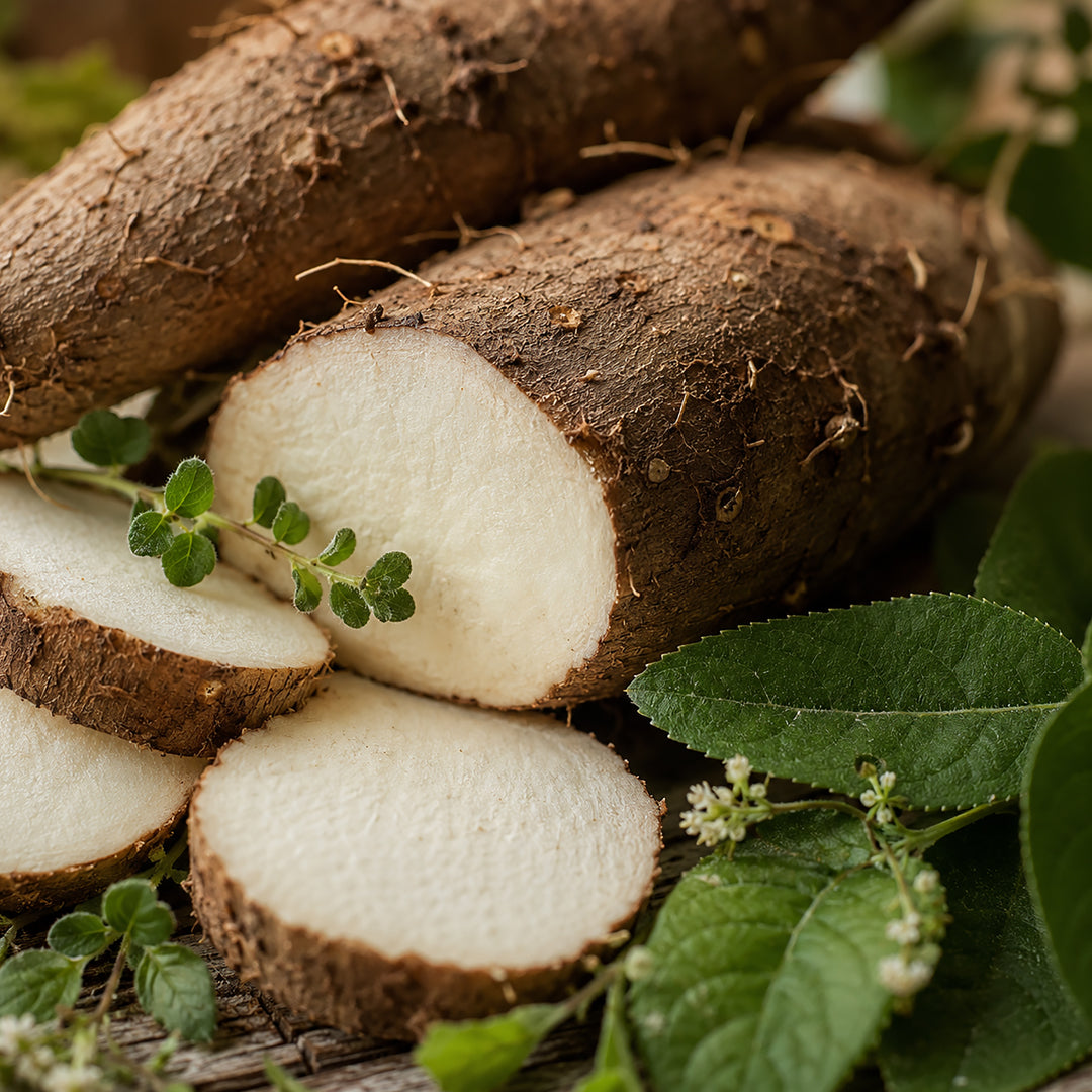 Yams Salbe-zutaten