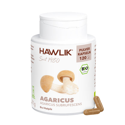 hawlik-agaricus--