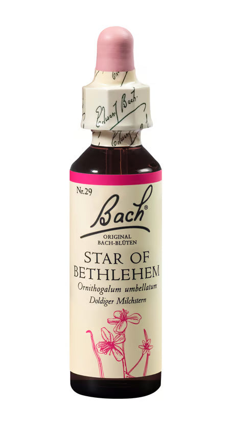 Original Bachblüten Star of Bethlehem No29 20 ml