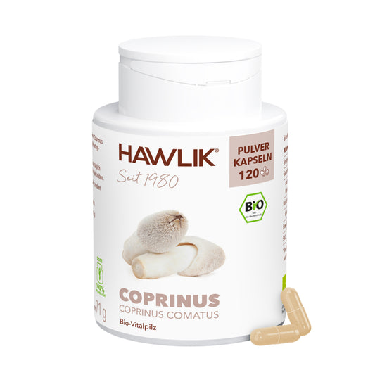hawlik-coprinus--