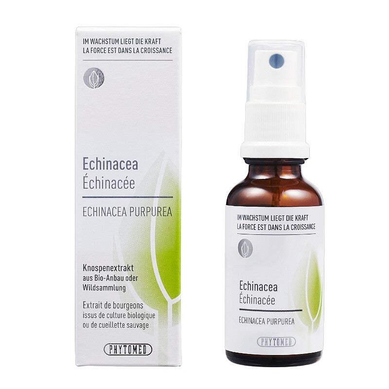 Knospenextrakt Echinacea Spr