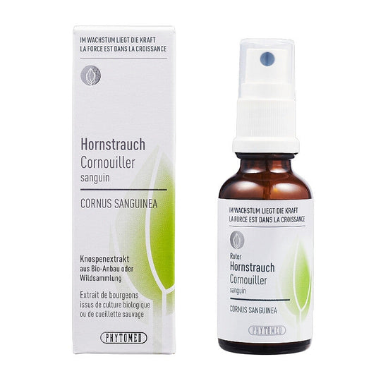 Phytomed Knospenextrakt roter Hornstrauch