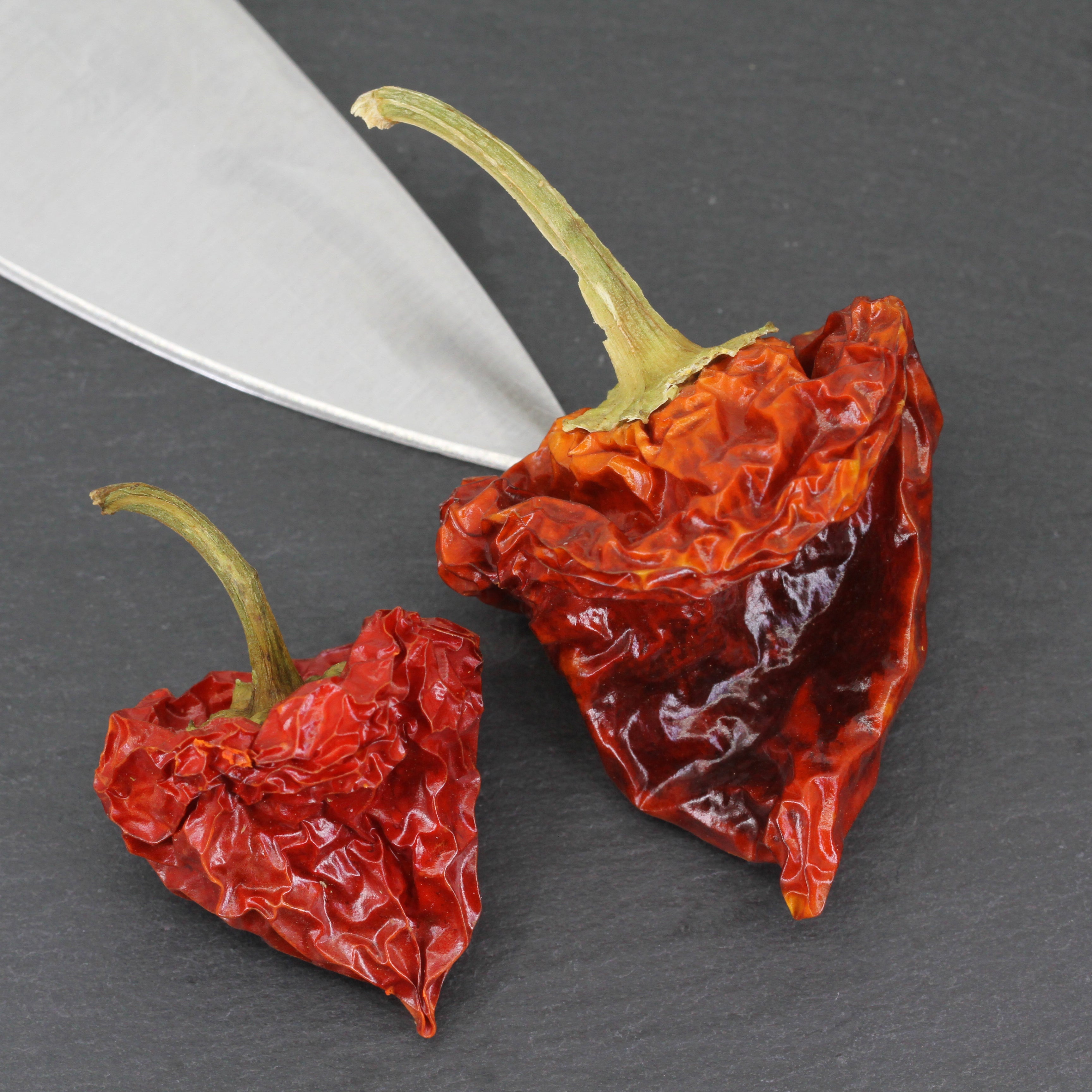 Chili Scotch Bonnet ganz