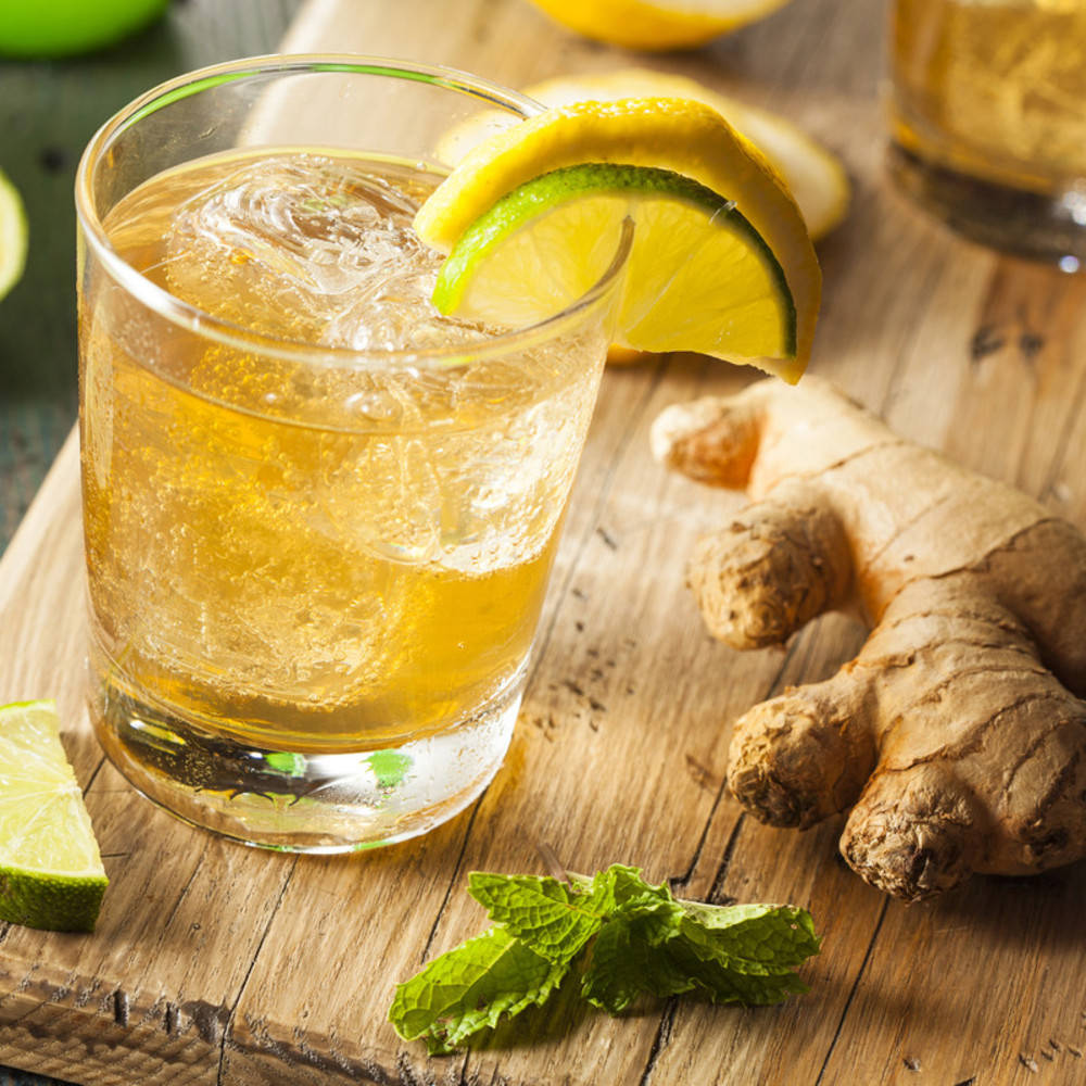 Ginger Beer Kefir Startkultur (für 1 l Ansatz)