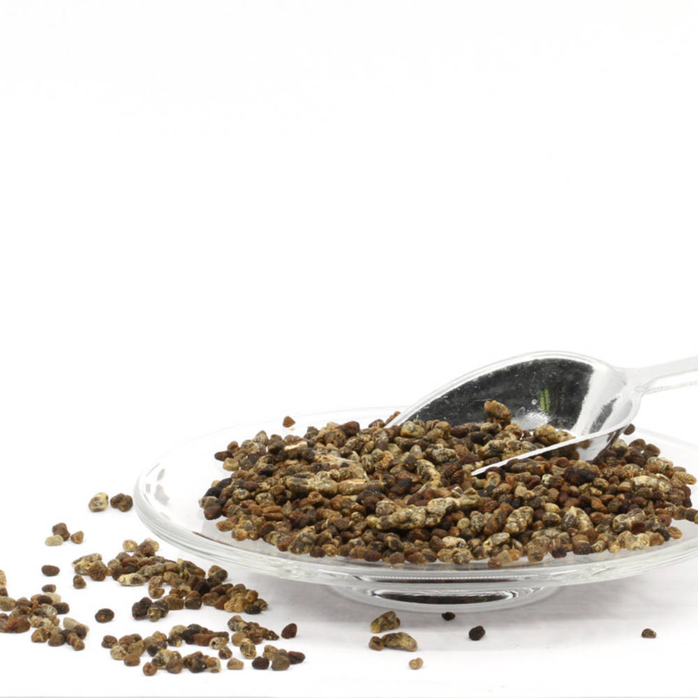 Cardamom, äthiopischer ganz