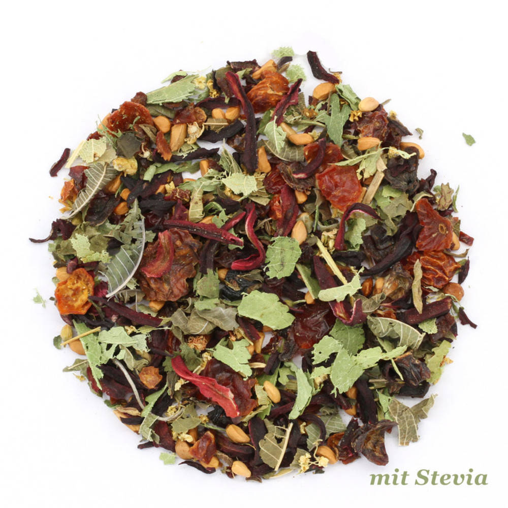 Eistee Zisch (Kräutertee) ohne Stevia Bio