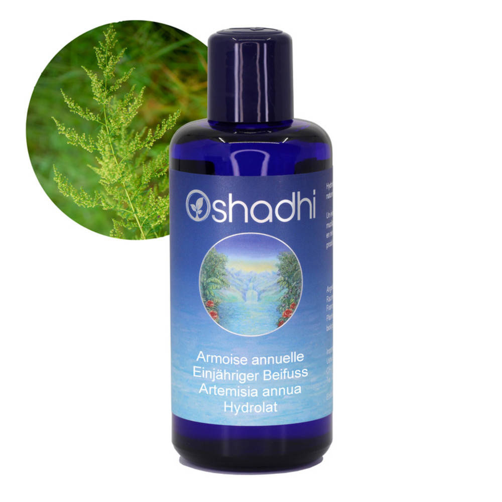 Oshadhi Blütenwasser Artemisia annua (Einjähriger Beifuss) (Hydrolat) 200 ml