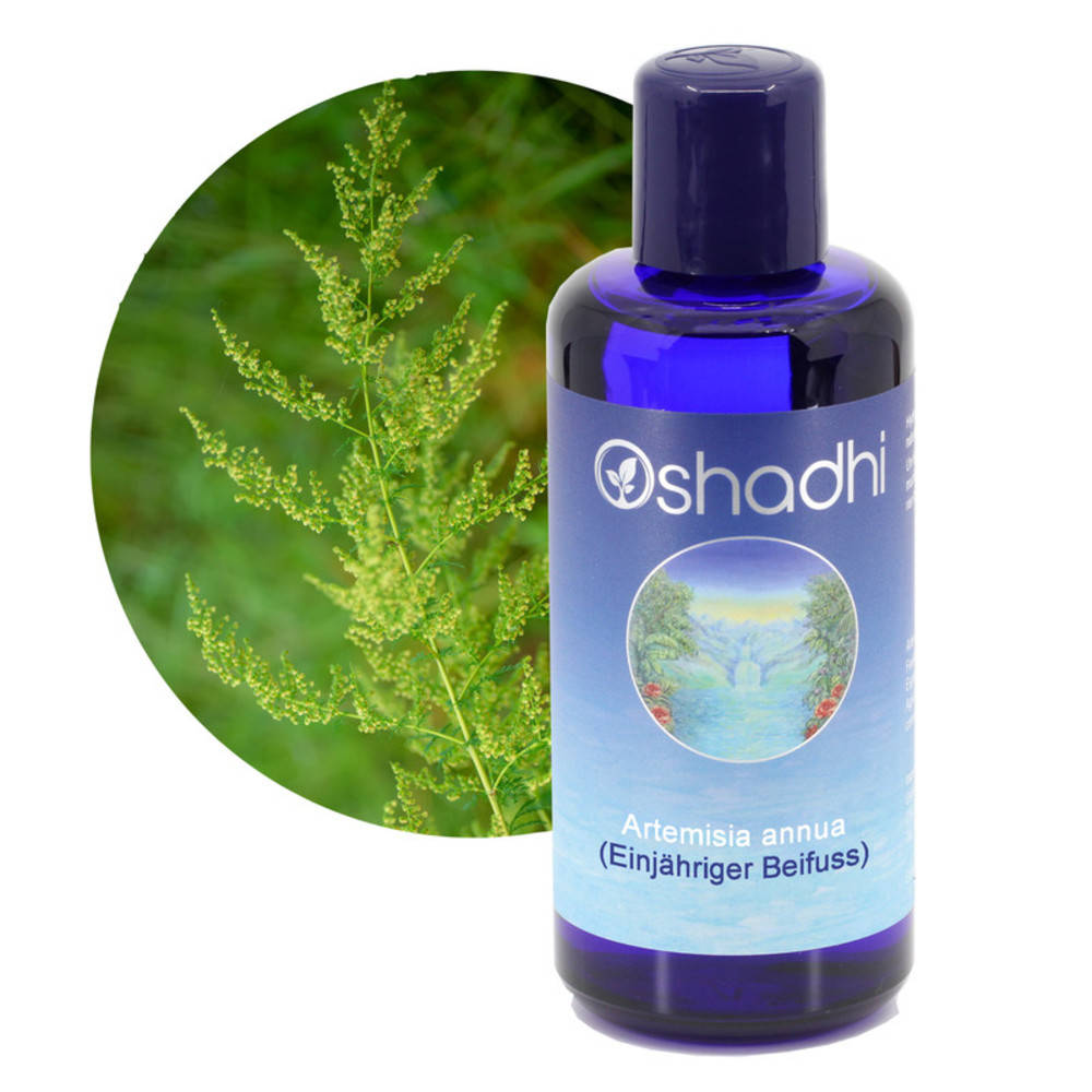 Oshadhi Blütenwasser Artemisia annua (Einjähriger Beifuss) (Hydrolat) 200 ml