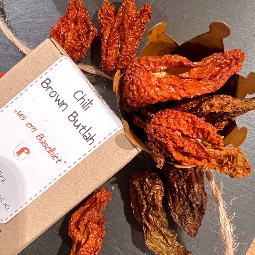 Chili Brown Butlah "Schweiz" ganz