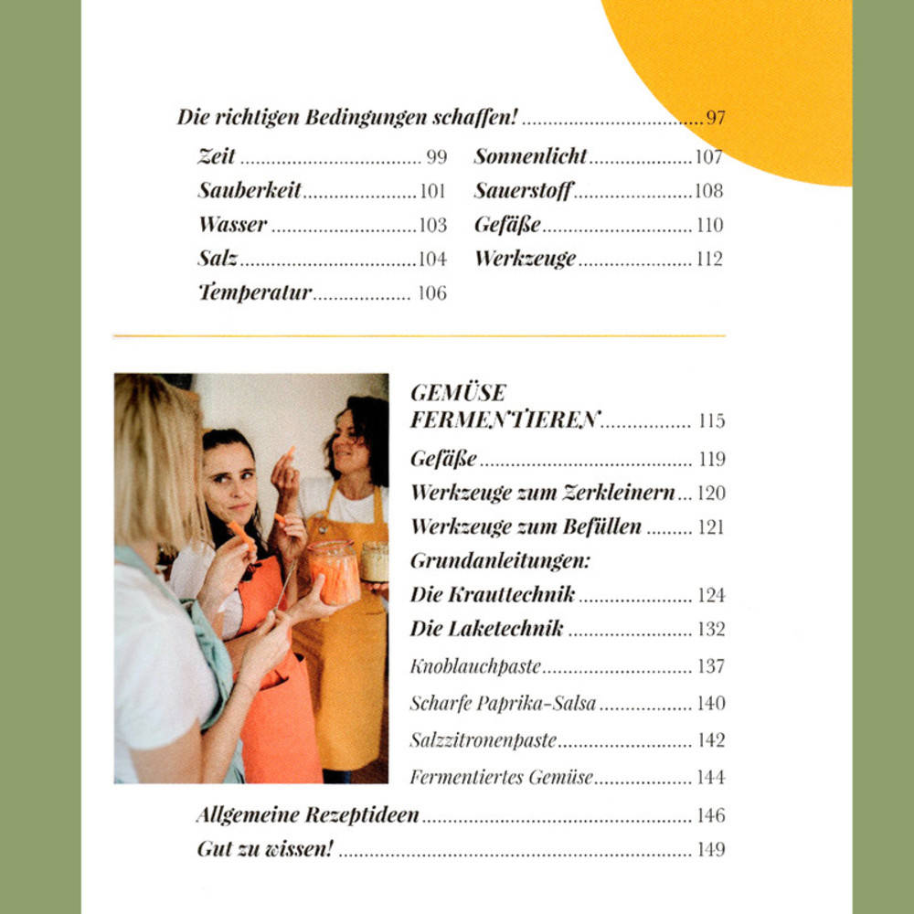 Buch Fermentista